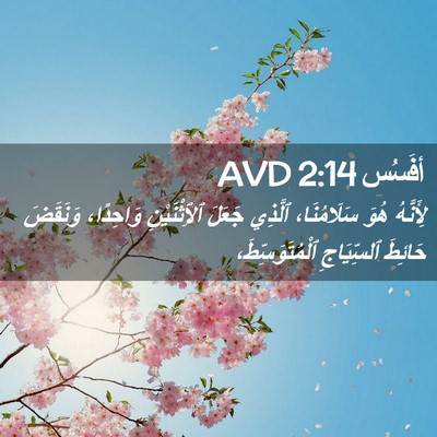 Picture 02 - أفَسُس 2:14 AVD - لِأَنَّهُ هُوَ - Bible Verse Picture