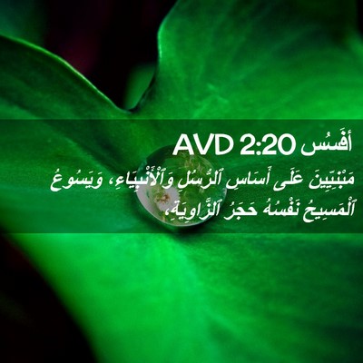 Picture 02 - أفَسُس 2:20 AVD - مَبْنِيِّينَ عَلَى - Bible Verse Picture