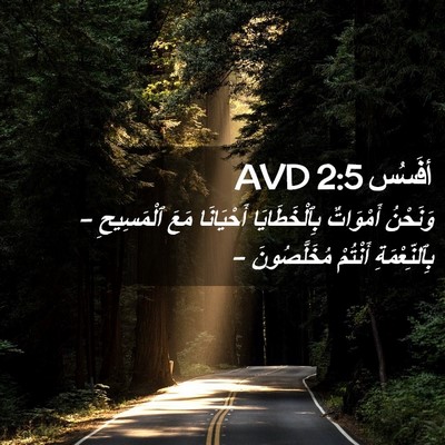 Picture 02 - أفَسُس 2:5 AVD - وَنَحْنُ أَمْوَاتٌ - Bible Verse Picture
