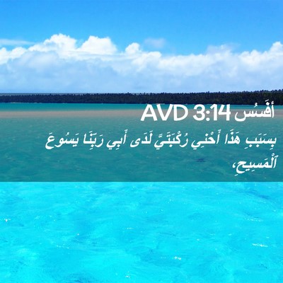 Picture 02 - أفَسُس 3:14 AVD - بِسَبَبِ هَذَا أَحْنِي - Bible Verse Picture