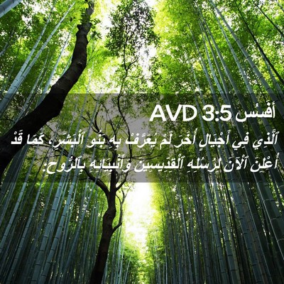 Picture 02 - أفَسُس 3:5 AVD - ٱلَّذِي فِي أَجْيَالٍ - Bible Verse Picture