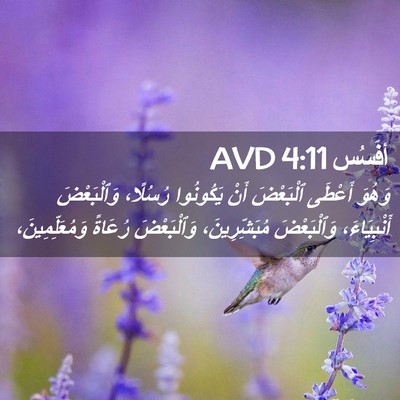 Picture 02 - أفَسُس 4:11 AVD - وَهُوَ أَعْطَى ٱلْبَعْضَ - Bible Verse Picture