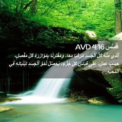 Picture 02 - أفَسُس 4:16 AVD - ٱلَّذِي مِنْهُ كُلُّ - Bible Verse Picture