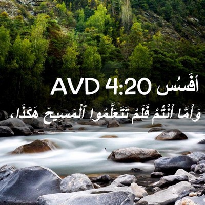 Picture 02 - أفَسُس 4:20 AVD - وَأَمَّا أَنْتُمْ فَلَمْ - Bible Verse Picture