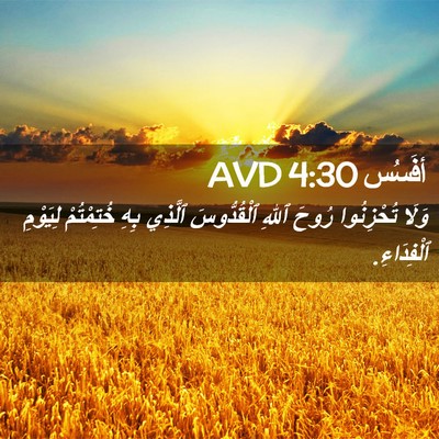 Picture 02 - أفَسُس 4:30 AVD - وَلَا تُحْزِنُوا رُوحَ - Bible Verse Picture
