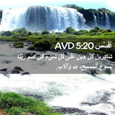 Picture 02 - أفَسُس 5:20 AVD - شَاكِرِينَ كُلَّ حِينٍ - Bible Verse Picture