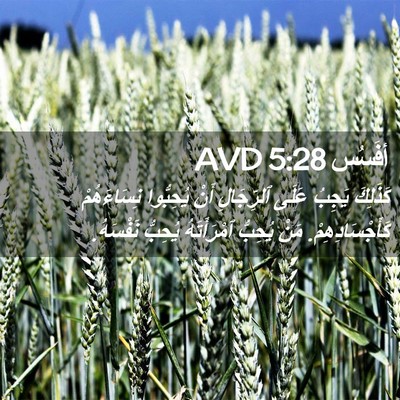 Picture 02 - أفَسُس 5:28 AVD - كَذَلِكَ يَجِبُ عَلَى - Bible Verse Picture