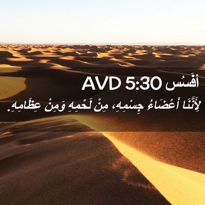 Picture 02 - أفَسُس 5:30 AVD - لِأَنَّنَا أَعْضَاءُ - Bible Verse Picture