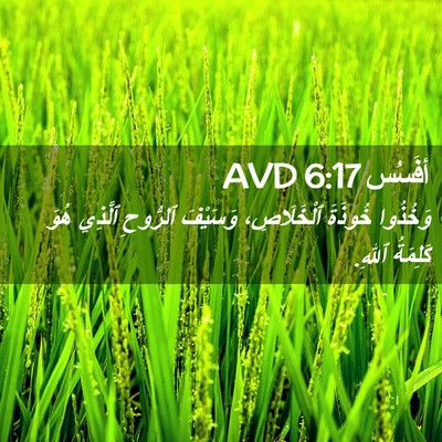 Picture 02 - أفَسُس 6:17 AVD - وَخُذُوا خُوذَةَ - Bible Verse Picture