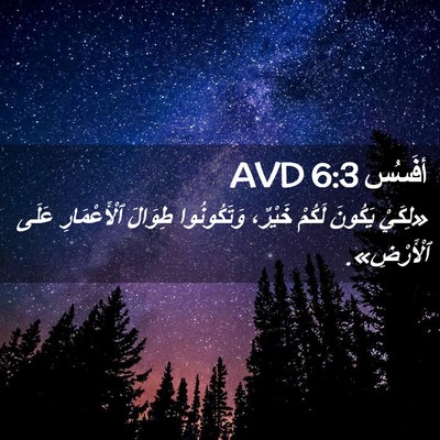 Picture 02 - أفَسُس 6:3 AVD - «لِكَيْ يَكُونَ لَكُمْ - Bible Verse Picture