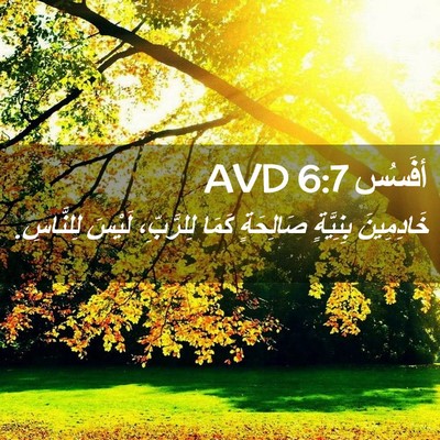 Picture 02 - أفَسُس 6:7 AVD - خَادِمِينَ بِنِيَّةٍ - Bible Verse Picture