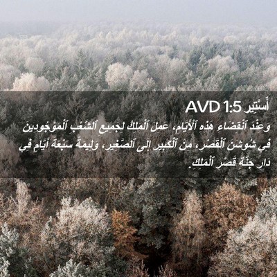 Picture 02 - أَسْتِير 1:5 AVD - وَعِنْدَ ٱنْقِضَاءِ - Bible Verse Picture