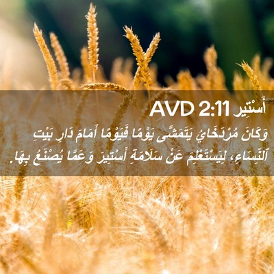 Picture 02 - أَسْتِير 2:11 AVD - وَكَانَ مُرْدَخَايُ - Bible Verse Picture