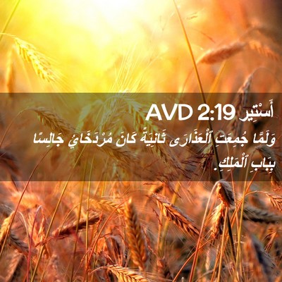 Picture 02 - أَسْتِير 2:19 AVD - وَلَمَّا جُمِعَتِ - Bible Verse Picture