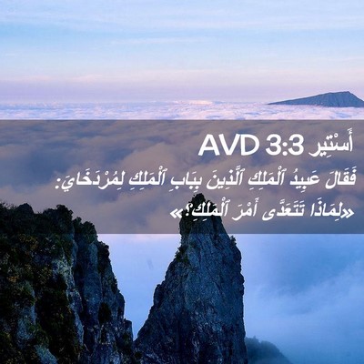 Picture 02 - أَسْتِير 3:3 AVD - فَقَالَ عَبِيدُ ٱلْمَلِكِ - Bible Verse Picture