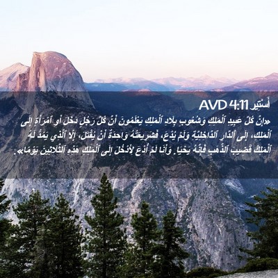 Picture 02 - أَسْتِير 4:11 AVD - «إِنَّ كُلَّ عَبِيدِ - Bible Verse Picture