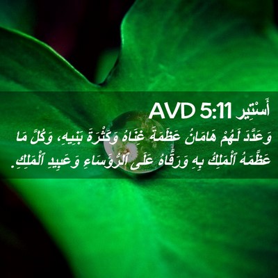 Picture 02 - أَسْتِير 5:11 AVD - وَعَدَّدَ لَهُمْ هَامَانُ - Bible Verse Picture