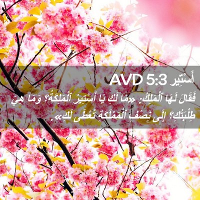 Picture 02 - أَسْتِير 5:3 AVD - فَقَالَ لَهَا ٱلْمَلِكُ: - Bible Verse Picture