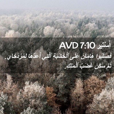 Picture 02 - أَسْتِير 7:10 AVD - فَصَلَبُوا هَامَانَ عَلَى - Bible Verse Picture