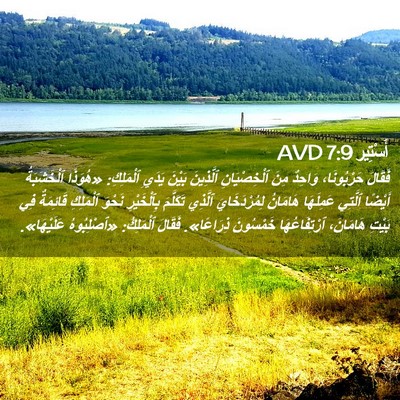 Picture 02 - أَسْتِير 7:9 AVD - فَقَالَ حَرْبُونَا، - Bible Verse Picture