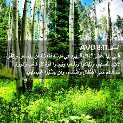 Picture 02 - أَسْتِير 8:11 AVD - ٱلَّتِي بِهَا أَعْطَى - Bible Verse Picture