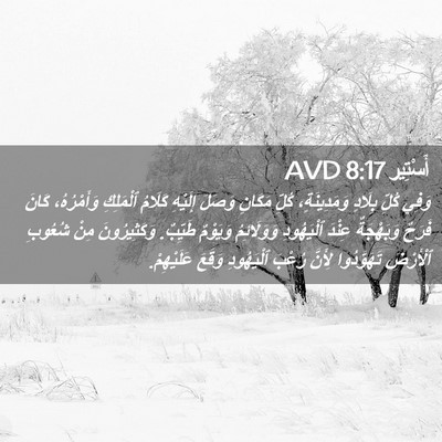 Picture 02 - أَسْتِير 8:17 AVD - وَفِي كُلِّ بِلَادٍ - Bible Verse Picture