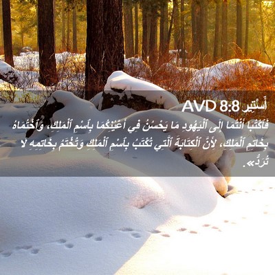 Picture 02 - أَسْتِير 8:8 AVD - فَٱكْتُبَا أَنْتُمَا - Bible Verse Picture