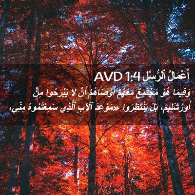 Picture 02 - أَعْمَالُ ٱلرُّسُلِ 1:4 AVD - وَفِيمَا هُوَ مُجْتَمِعٌ - Bible Verse Picture