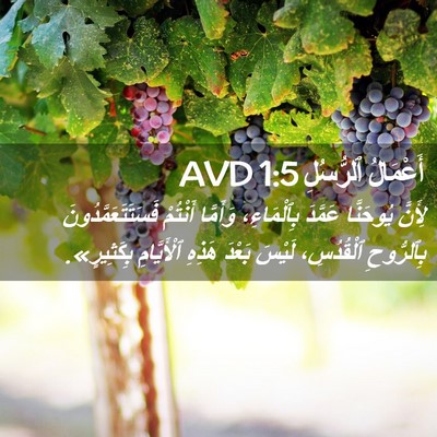 Picture 02 - أَعْمَالُ ٱلرُّسُلِ 1:5 AVD - لِأَنَّ يُوحَنَّا عَمَّدَ - Bible Verse Picture