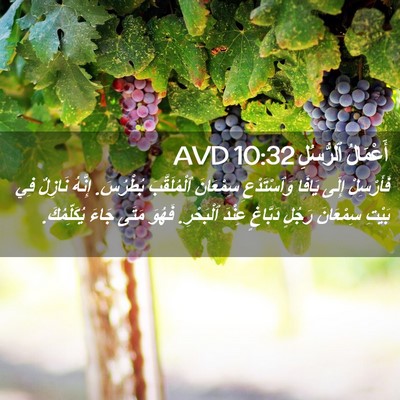 Picture 02 - أَعْمَالُ ٱلرُّسُلِ 10:32 AVD - فَأَرْسِلْ إِلَى يَافَا - Bible Verse Picture