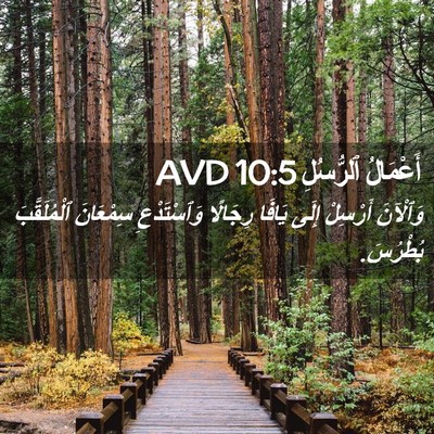 Picture 02 - أَعْمَالُ ٱلرُّسُلِ 10:5 AVD - وَٱلْآنَ أَرْسِلْ إِلَى - Bible Verse Picture