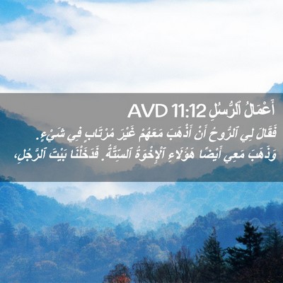 Picture 02 - أَعْمَالُ ٱلرُّسُلِ 11:12 AVD - فَقَالَ لِي ٱلرُّوحُ أَنْ - Bible Verse Picture