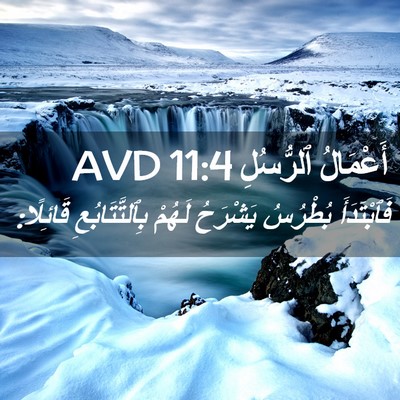 Picture 02 - أَعْمَالُ ٱلرُّسُلِ 11:4 AVD - فَٱبْتَدَأَ بُطْرُسُ - Bible Verse Picture