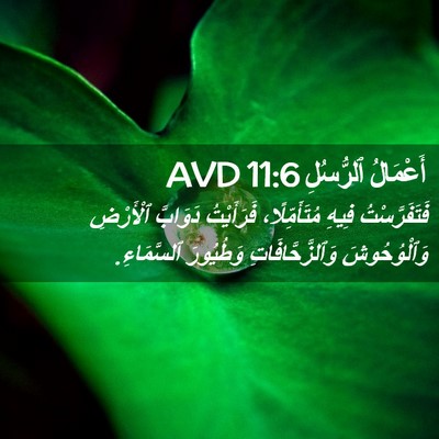 Picture 02 - أَعْمَالُ ٱلرُّسُلِ 11:6 AVD - فَتَفَرَّسْتُ فِيهِ - Bible Verse Picture