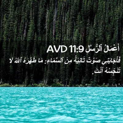 Picture 02 - أَعْمَالُ ٱلرُّسُلِ 11:9 AVD - فَأَجَابَنِي صَوْتٌ - Bible Verse Picture