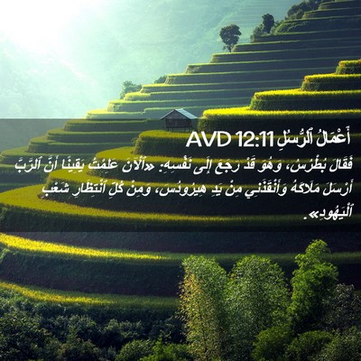 Picture 02 - أَعْمَالُ ٱلرُّسُلِ 12:11 AVD - فَقَالَ بُطْرُسُ، وَهُوَ - Bible Verse Picture