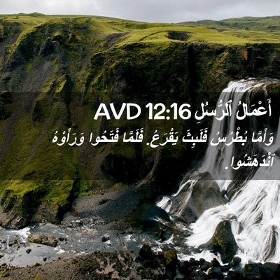 Picture 02 - أَعْمَالُ ٱلرُّسُلِ 12:16 AVD - وَأَمَّا بُطْرُسُ - Bible Verse Picture