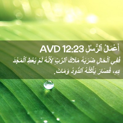 Picture 02 - أَعْمَالُ ٱلرُّسُلِ 12:23 AVD - فَفِي ٱلْحَالِ ضَرَبَهُ - Bible Verse Picture