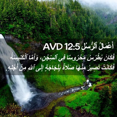 Picture 02 - أَعْمَالُ ٱلرُّسُلِ 12:5 AVD - فَكَانَ بُطْرُسُ - Bible Verse Picture