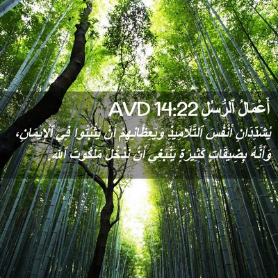 Picture 02 - أَعْمَالُ ٱلرُّسُلِ 14:22 AVD - يُشَدِّدَانِ أَنْفُسَ - Bible Verse Picture