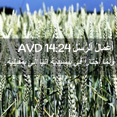 Picture 02 - أَعْمَالُ ٱلرُّسُلِ 14:24 AVD - وَلَمَّا ٱجْتَازَا فِي - Bible Verse Picture
