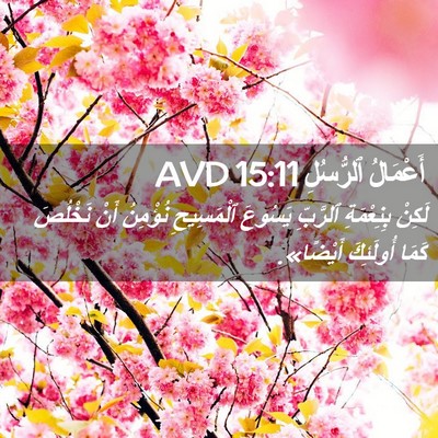 Picture 02 - أَعْمَالُ ٱلرُّسُلِ 15:11 AVD - لَكِنْ بِنِعْمَةِ - Bible Verse Picture