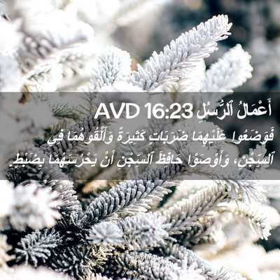 Picture 02 - أَعْمَالُ ٱلرُّسُلِ 16:23 AVD - فَوَضَعُوا عَلَيْهِمَا - Bible Verse Picture