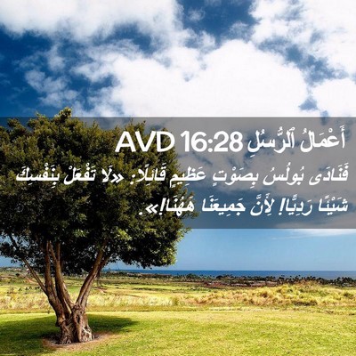 Picture 02 - أَعْمَالُ ٱلرُّسُلِ 16:28 AVD - فَنَادَى بُولُسُ بِصَوْتٍ - Bible Verse Picture