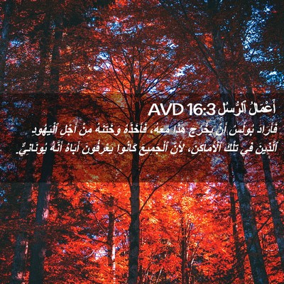 Picture 02 - أَعْمَالُ ٱلرُّسُلِ 16:3 AVD - فَأَرَادَ بُولُسُ أَنْ - Bible Verse Picture