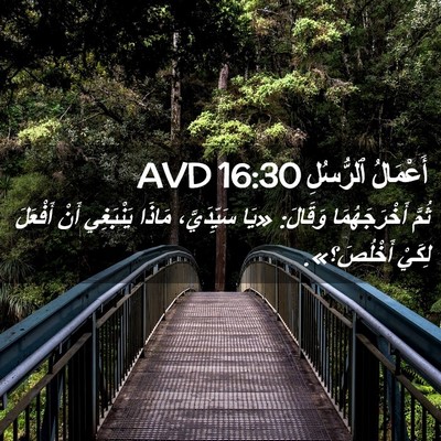 Picture 02 - أَعْمَالُ ٱلرُّسُلِ 16:30 AVD - ثُمَّ أَخْرَجَهُمَا - Bible Verse Picture
