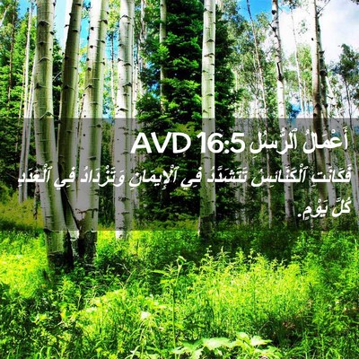Picture 02 - أَعْمَالُ ٱلرُّسُلِ 16:5 AVD - فَكَانَتِ ٱلْكَنَائِسُ - Bible Verse Picture