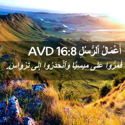 Picture 02 - أَعْمَالُ ٱلرُّسُلِ 16:8 AVD - فَمَرُّوا عَلَى مِيسِيَّا - Bible Verse Picture