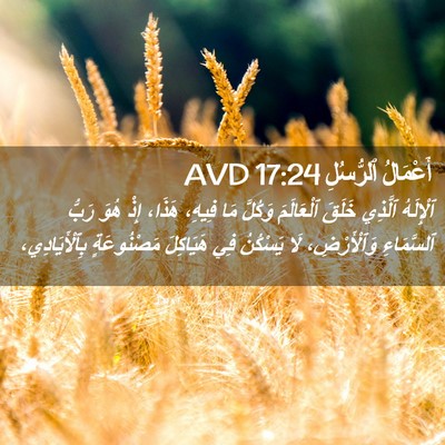 Picture 02 - أَعْمَالُ ٱلرُّسُلِ 17:24 AVD - ٱلْإِلَهُ ٱلَّذِي خَلَقَ - Bible Verse Picture