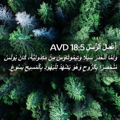 Picture 02 - أَعْمَالُ ٱلرُّسُلِ 18:5 AVD - وَلَمَّا ٱنْحَدَرَ سِيلَا - Bible Verse Picture